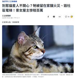 貓咪獨自在家可能的風險示意圖