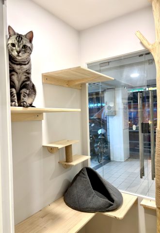 C2C31FDE-16B9-4F8A-B146-A822E89187C2